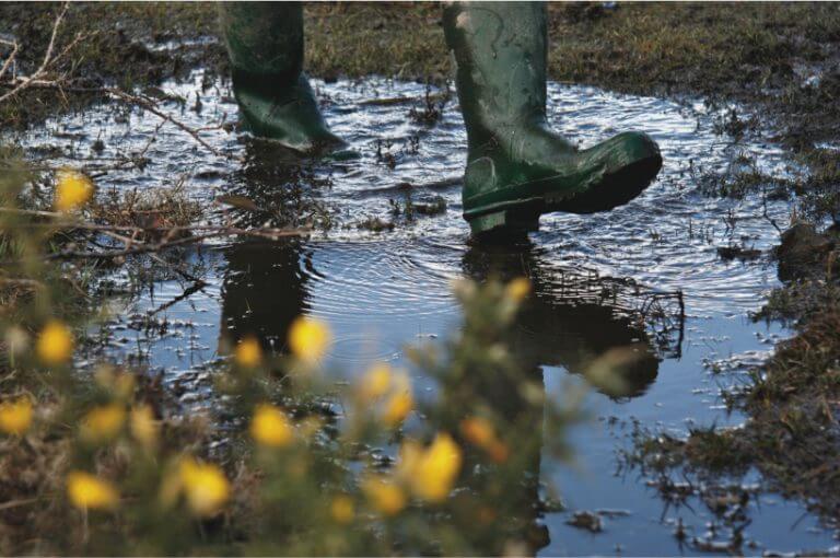 walking through muddy puddles in the New Forest
