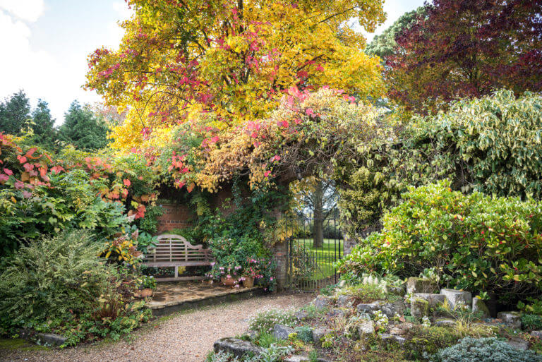 Gardens in autumn at Careys Manor