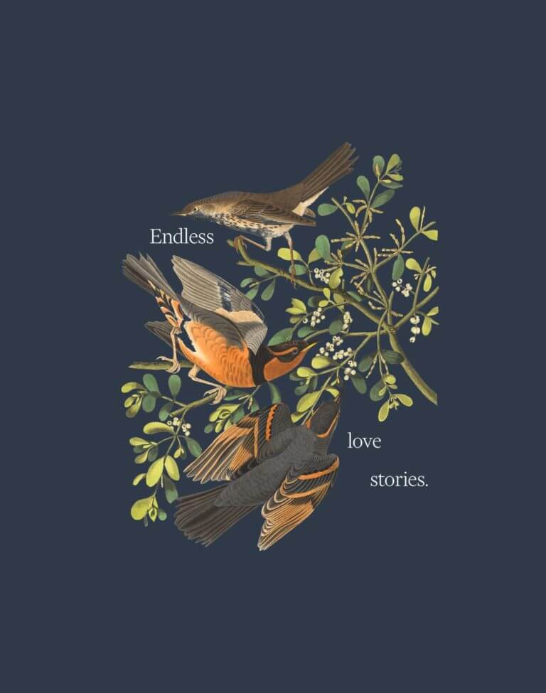 Illustration of botanicals and birds with 'Endless Love Stories' wording