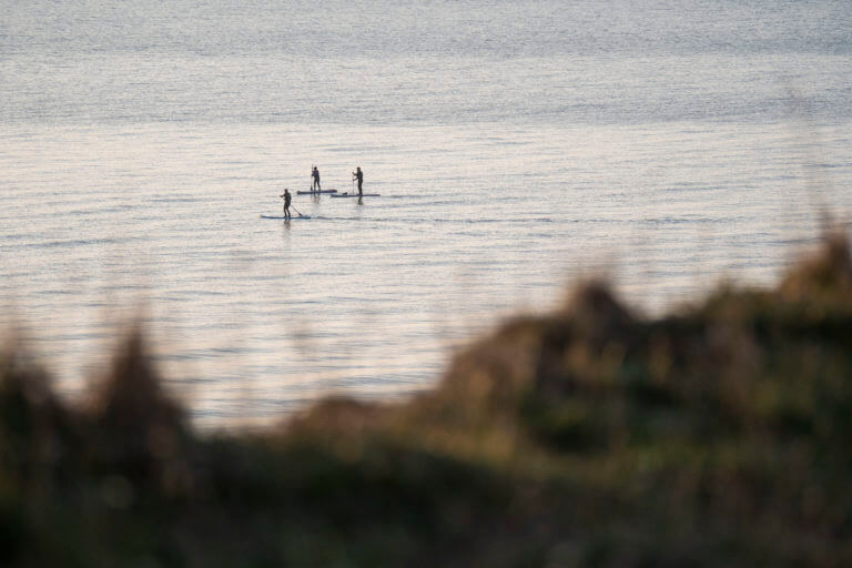 Stand Up Paddle Boarding in the New Forest