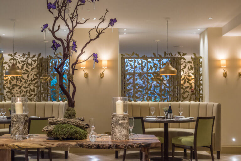 Interior of Cambium restaurant with forest-inspired decor