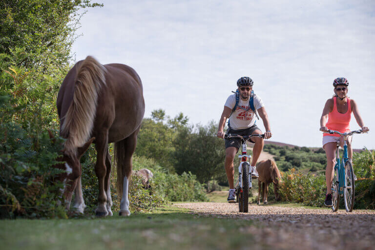 Cycling on a trail next to a wild horse in the New Forest