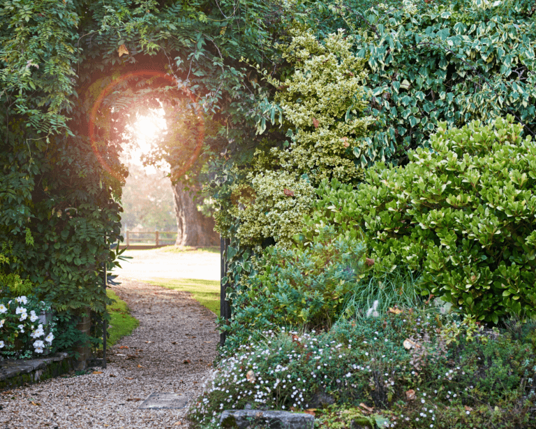 Arch in the garden at Careys Manor Hotel & SenSpa with warm autumnal sun