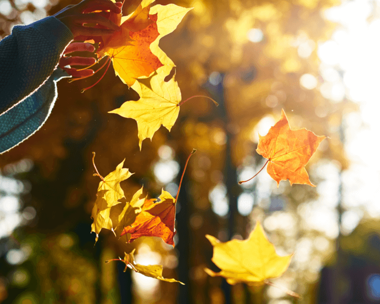 Autumn leaves falling from woman's hand in the forest