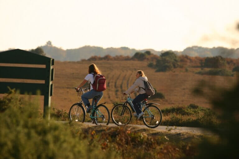 Two women cycling in the New Forest National Park - Careys Manor Blog