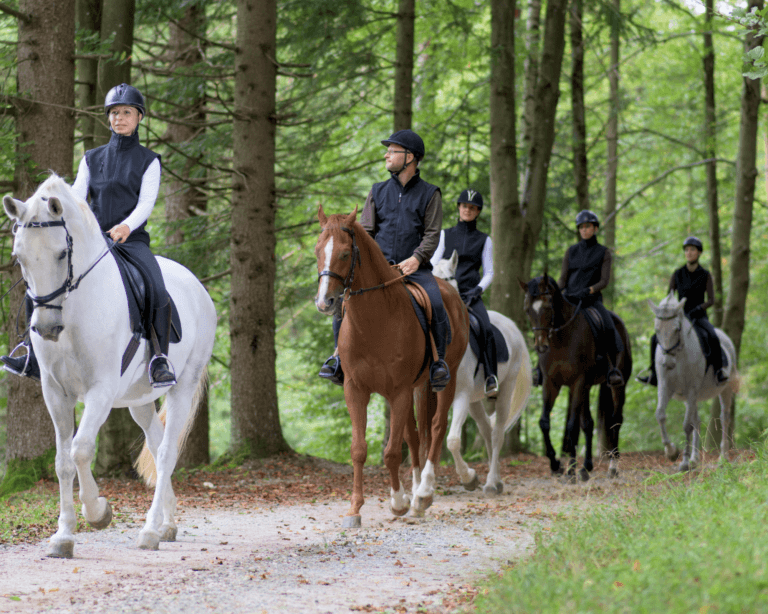 Group ride horses through forest 